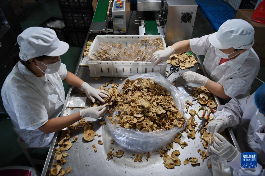 澳门云鼎